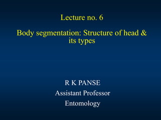 Lecture no. 6
Body segmentation: Structure of head &
its types
R K PANSE
Assistant Professor
Entomology
 