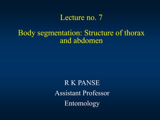 Lecture no. 7
Body segmentation: Structure of thorax
and abdomen
R K PANSE
Assistant Professor
Entomology
 