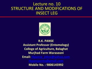R.K. PANSE
Assistant Professor (Entomology)
College of Agriculture, Balaghat
Murjhad Farm Waraseoni
Email: rkpanse_jnkvv@yahoo.com
rkpanseento@gmail.com
Mobile No. : 9806145992
Lecture no. 10
STRUCTURE AND MODIFICATIONS OF
INSECT LEG
 