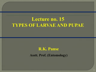 1
R.K. Panse
Asstt. Prof. (Entomology)
Lecture no. 15
TYPES OF LARVAE AND PUPAE
 