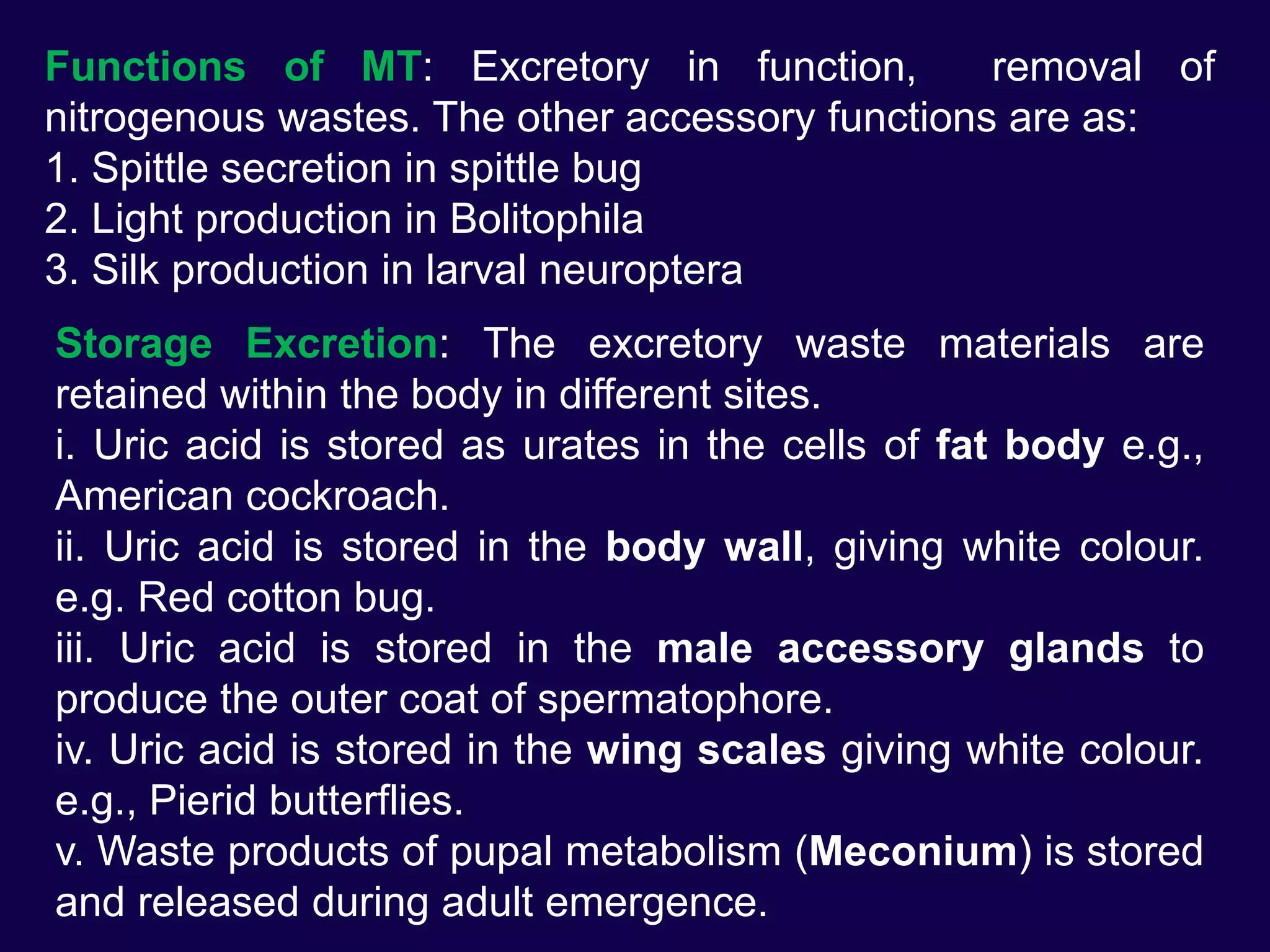 Functions of MT: Excretory in function, removal of
nitrogenous wastes. The other accessory functions are as:
1. Spittle secretion in spittle bug
2. Light production in Bolitophila
3. Silk production in larval neuroptera
Storage Excretion: The excretory waste materials are
retained within the body in different sites.
i. Uric acid is stored as urates in the cells of fat body e.g.,
American cockroach.
ii. Uric acid is stored in the body wall, giving white colour.
e.g. Red cotton bug.
iii. Uric acid is stored in the male accessory glands to
produce the outer coat of spermatophore.
iv. Uric acid is stored in the wing scales giving white colour.
e.g., Pierid butterflies.
v. Waste products of pupal metabolism (Meconium) is stored
and released during adult emergence.
 