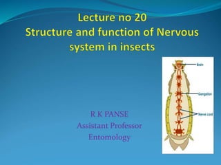 R K PANSE
Assistant Professor
Entomology
 