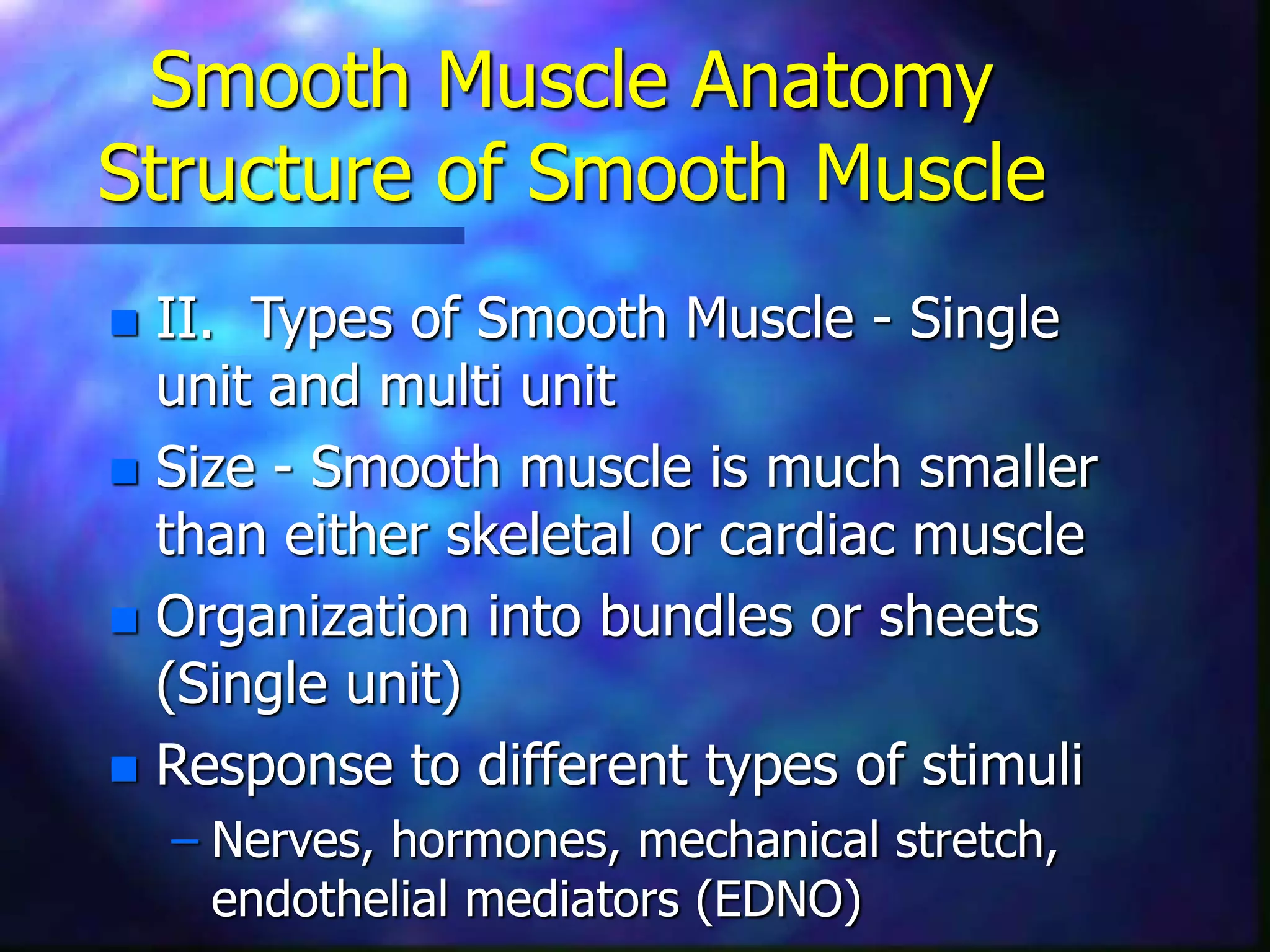 Smooth Muscle Anatomy
Structure of Smooth Muscle
 II. Types of Smooth Muscle - Single
unit and multi unit
 Size - Smooth muscle is much smaller
than either skeletal or cardiac muscle
 Organization into bundles or sheets
(Single unit)
 Response to different types of stimuli
– Nerves, hormones, mechanical stretch,
endothelial mediators (EDNO)
 