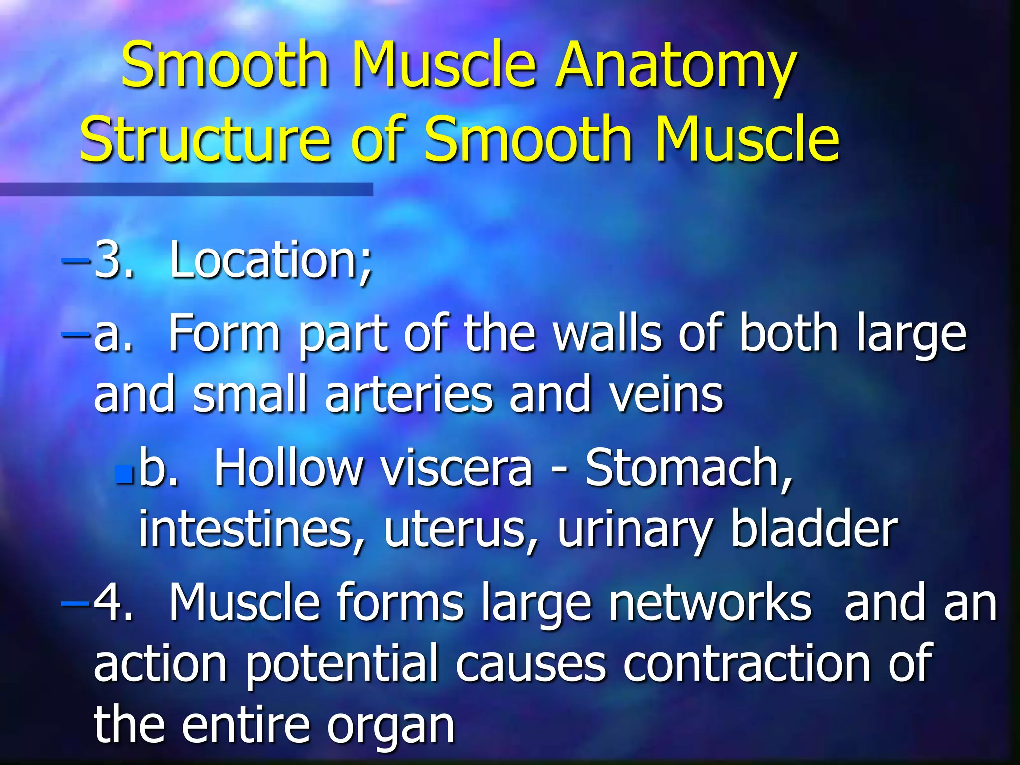 Smooth Muscle Anatomy
Structure of Smooth Muscle
–3. Location;
–a. Form part of the walls of both large
and small arteries and veins
b. Hollow viscera - Stomach,
intestines, uterus, urinary bladder
–4. Muscle forms large networks and an
action potential causes contraction of
the entire organ
 