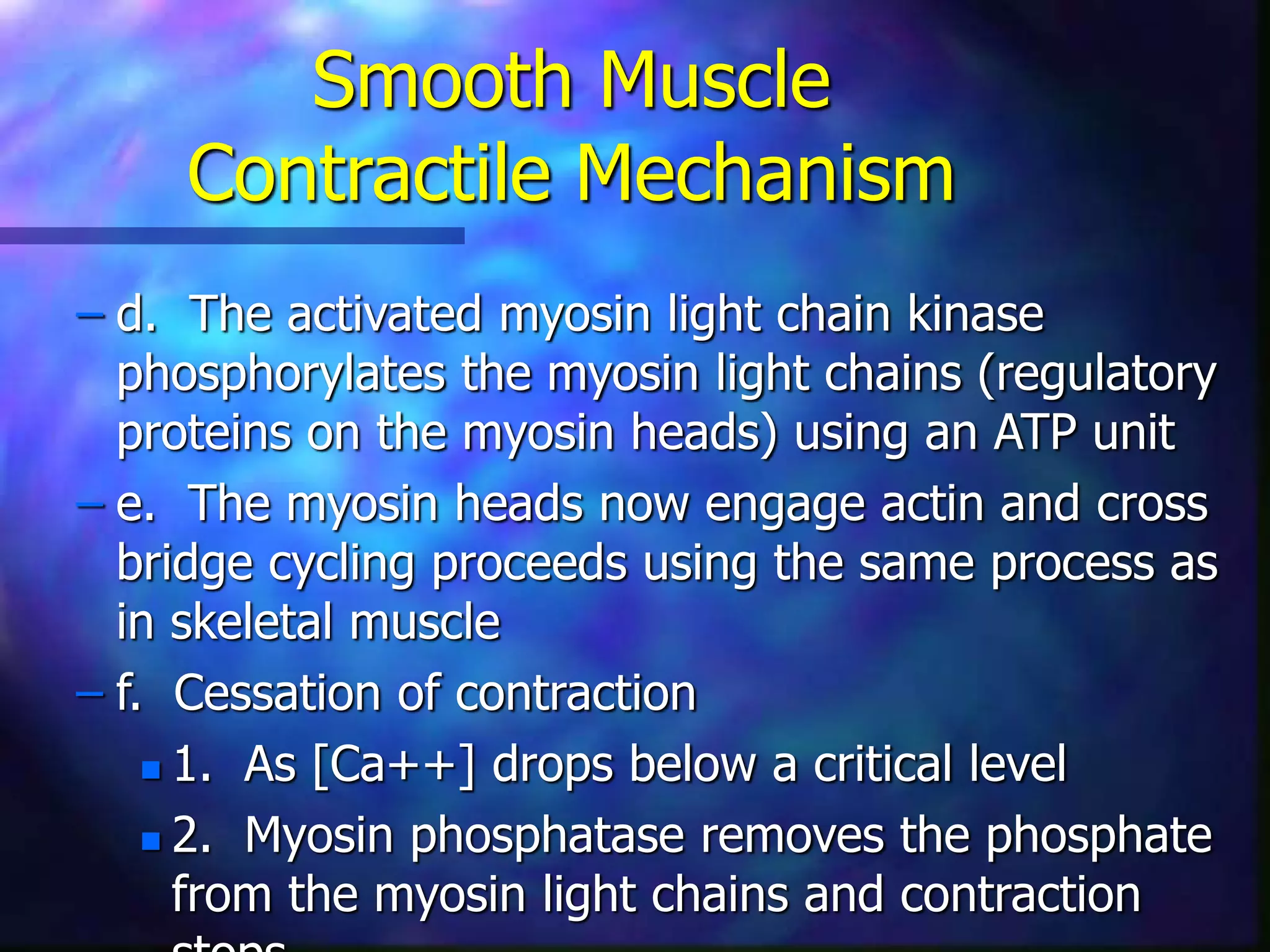 Smooth Muscle
Contractile Mechanism
– d. The activated myosin light chain kinase
phosphorylates the myosin light chains (regulatory
proteins on the myosin heads) using an ATP unit
– e. The myosin heads now engage actin and cross
bridge cycling proceeds using the same process as
in skeletal muscle
– f. Cessation of contraction
 1. As [Ca++] drops below a critical level
 2. Myosin phosphatase removes the phosphate
from the myosin light chains and contraction
 