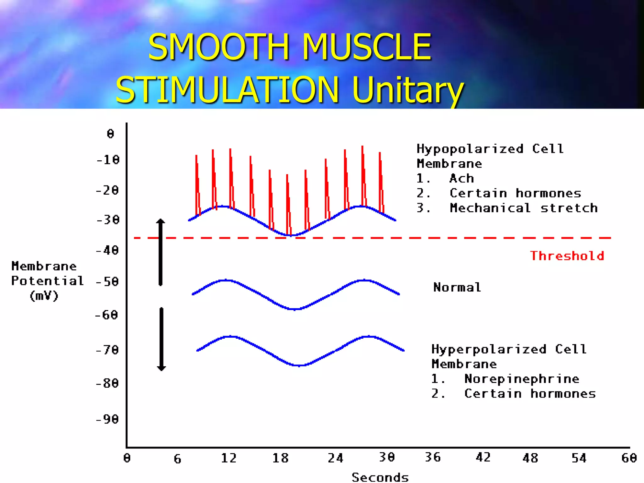 SMOOTH MUSCLE
STIMULATION Unitary
 