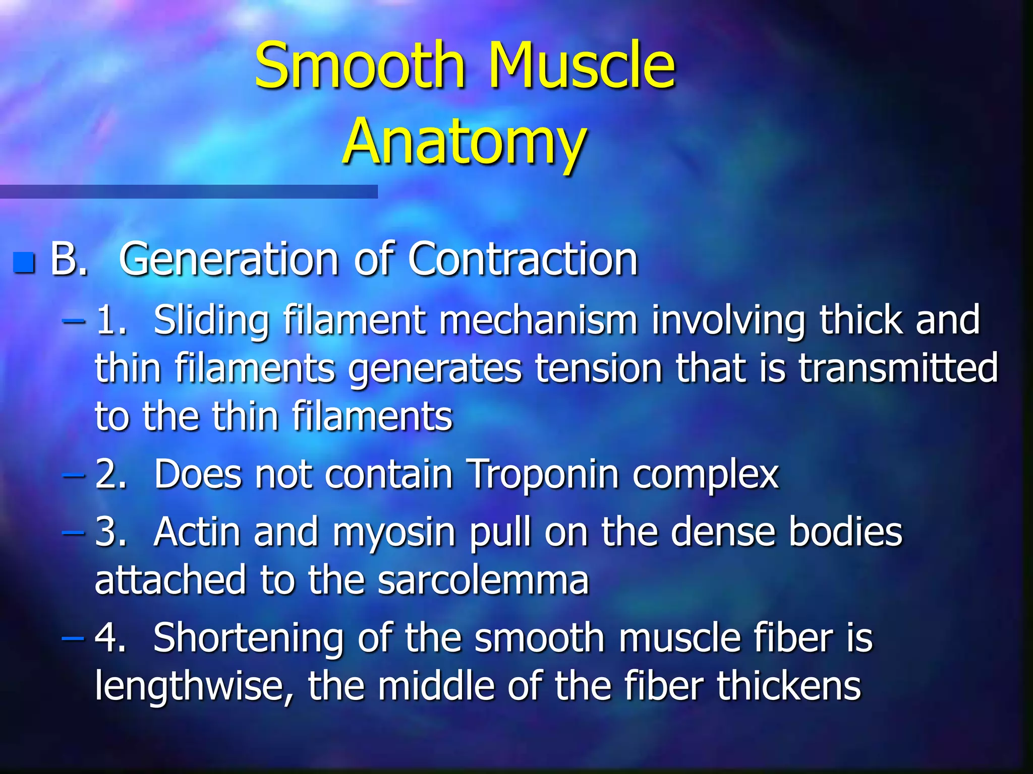  B. Generation of Contraction
– 1. Sliding filament mechanism involving thick and
thin filaments generates tension that is transmitted
to the thin filaments
– 2. Does not contain Troponin complex
– 3. Actin and myosin pull on the dense bodies
attached to the sarcolemma
– 4. Shortening of the smooth muscle fiber is
lengthwise, the middle of the fiber thickens
Smooth Muscle
Anatomy
 