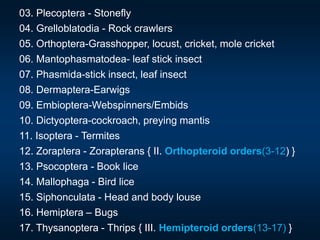 03. Plecoptera - Stonefly
04. Grelloblatodia - Rock crawlers
05. Orthoptera-Grasshopper, locust, cricket, mole cricket
06. Mantophasmatodea- leaf stick insect
07. Phasmida-stick insect, leaf insect
08. Dermaptera-Earwigs
09. Embioptera-Webspinners/Embids
10. Dictyoptera-cockroach, preying mantis
11. Isoptera - Termites
12. Zoraptera - Zorapterans { II. Orthopteroid orders(3-12) }
13. Psocoptera - Book lice
14. Mallophaga - Bird lice
15. Siphonculata - Head and body louse
16. Hemiptera – Bugs
17. Thysanoptera - Thrips { III. Hemipteroid orders(13-17) }
 
