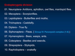 Endopterygota division
01. Neuroptera- Antilions, aphidlion, owl flies, mantispid flies.
02. Mecoptera - Scorpionflies.
03. Lepidoptera - Butterflies and moths.
04. Trichoptera - Caddisfly.
05. Diptera - True fly.
06. Siphonaptera - Fleas. { Group IV. Panorpoid complex (1-6) }
07. Hymenoptera - Bees, wasps, ants.
08. Coleoptera - Beetles and weevils.
09. Strepsiptera - Stylopids.
10. Raphidioptera – snakefly
 