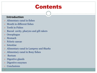 Contents
Introduction
 Alimentary canal in fishes
 Mouth in different fishes
 Teeth in Fishes
 Buccal cavity, pharynx and gill rakers
 Oesophagus
 Stomach
 Pyloric caecae
 Intestine
 Alimentary canal in Lamprey and Sharks
 Alimentary canal in Bony fishes
 Rectum
 Digestive glands
 Digestive enzymes
 Conclusions

 
