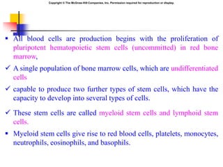Copyright © The McGraw-Hill Companies, Inc. Permission required for reproduction or display.
 All blood cells are product...