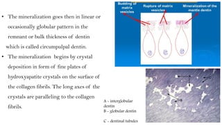 lec.4 (1).pdf