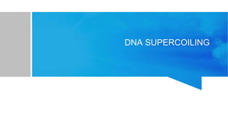 DNA SUPERCOILING
 