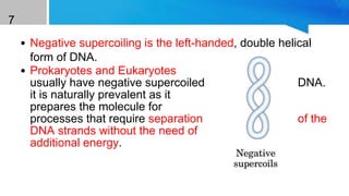 7
• Negative supercoiling is the left-handed, double helical
form of DNA.
• Prokaryotes and Eukaryotes
usually have negative supercoiled DNA.
it is naturally prevalent as it
prepares the molecule for
processes that require separation of the
DNA strands without the need of
additional energy.
How Supercoils are formed ?
 