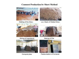 Compost Production by Short Method
 