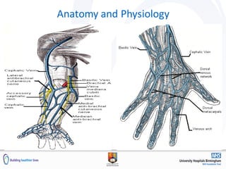 Anatomy and Physiology
 