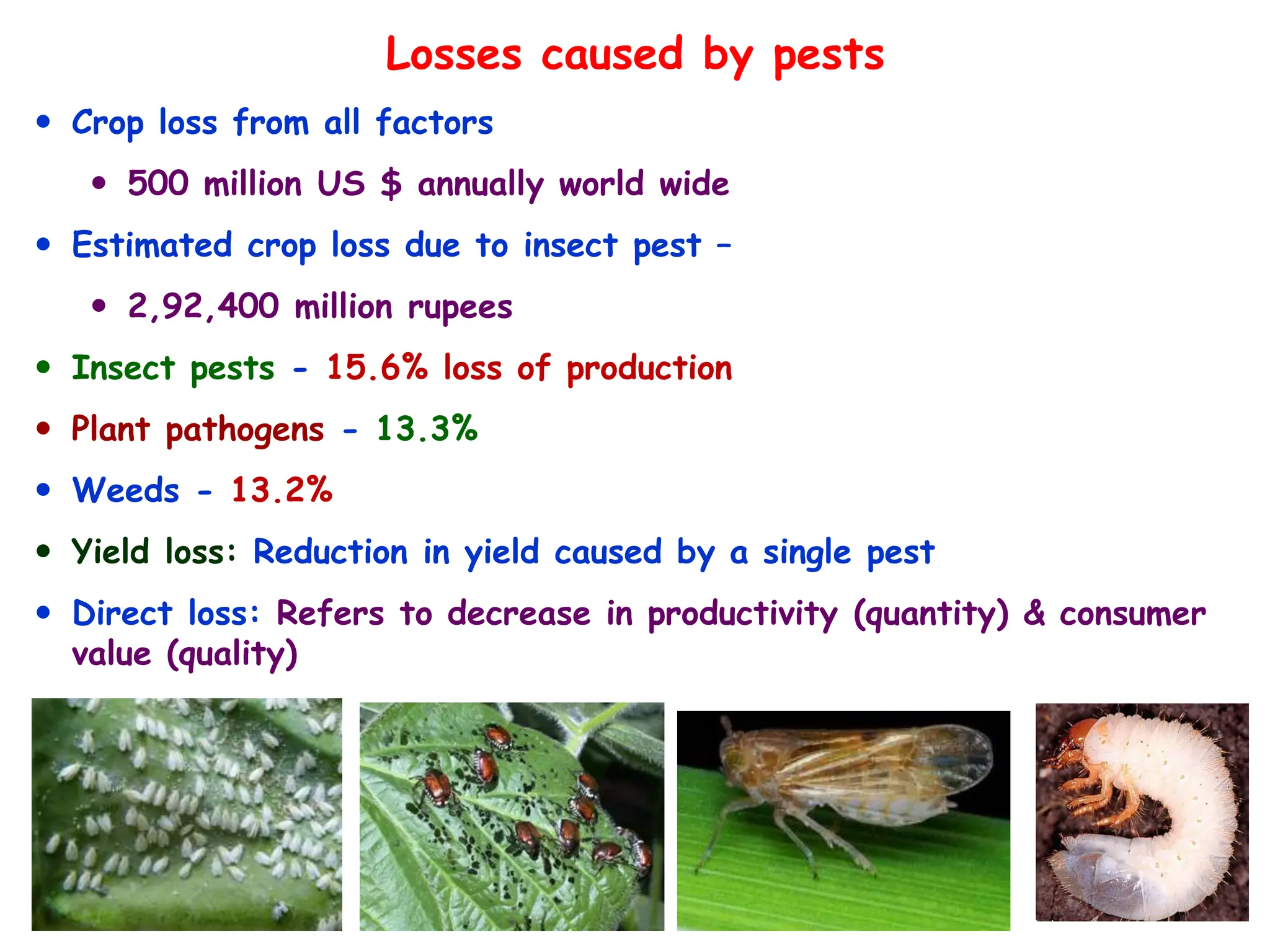 Losses caused by pests
 Crop loss from all factors
 500 million US $ annually world wide
 Estimated crop loss due to insect pest –
 2,92,400 million rupees
 Insect pests - 15.6% loss of production
 Plant pathogens - 13.3%
 Weeds - 13.2%
 Yield loss: Reduction in yield caused by a single pest
 Direct loss: Refers to decrease in productivity (quantity) & consumer
value (quality)
 