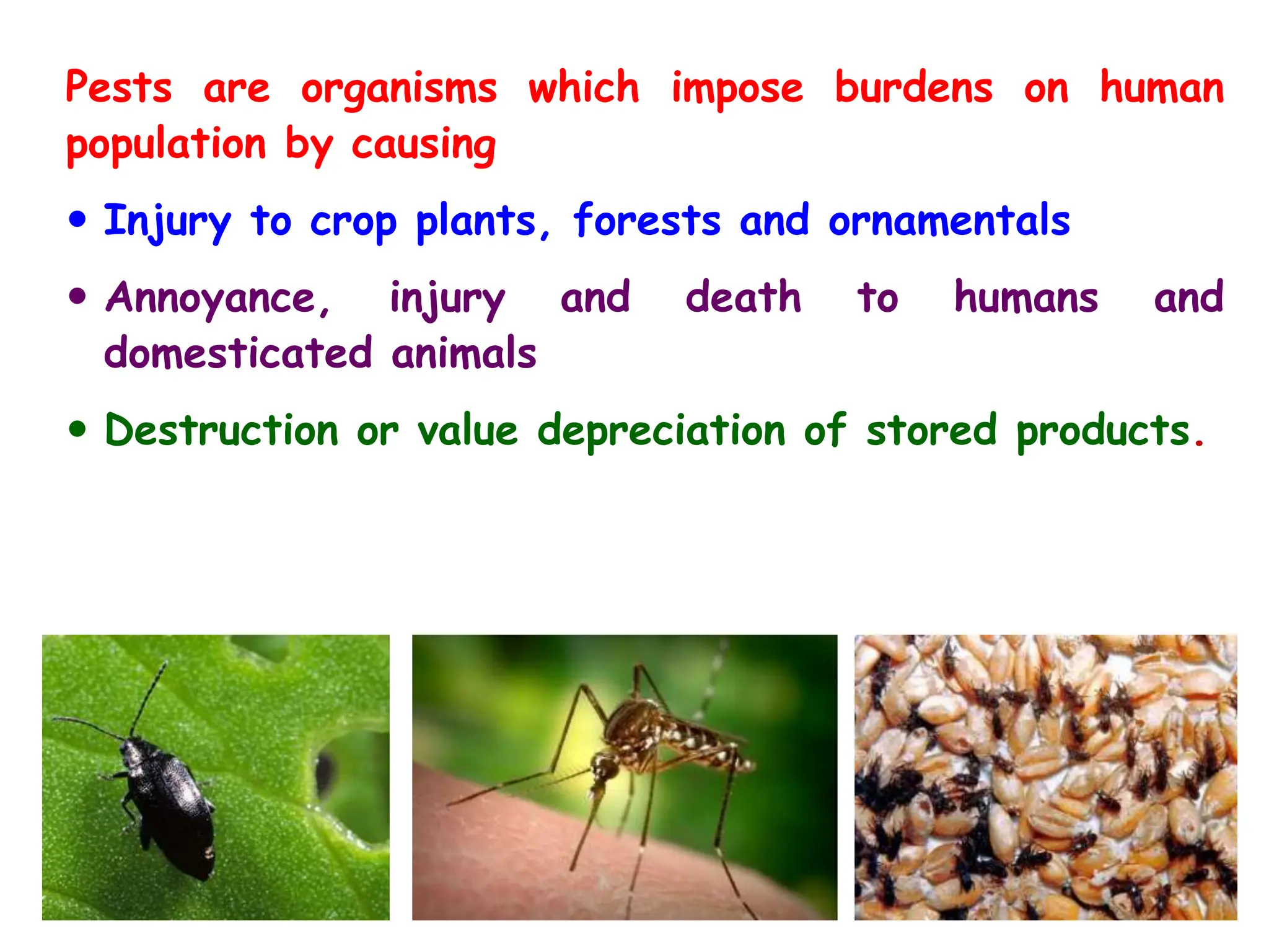 Pests are organisms which impose burdens on human
population by causing
 Injury to crop plants, forests and ornamentals
 Annoyance, injury and death to humans and
domesticated animals
 Destruction or value depreciation of stored products.
 