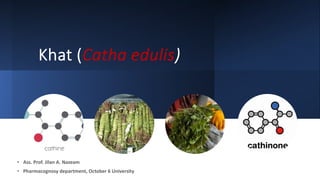 Khat (Catha edulis)
• Ass. Prof. Jilan A. Nazeam
• Pharmacognosy department, October 6 University
 