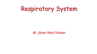 Respiratory System
dr jinan Nori Hasan
 