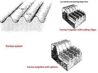 Furrow Ridging Surface Irrigation methods.Lec.No. 14.pptxLec.No. 12.pptx