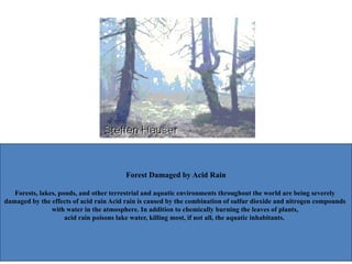 Forest Damaged by Acid Rain
Forests, lakes, ponds, and other terrestrial and aquatic environments throughout the world are being severely
damaged by the effects of acid rain Acid rain is caused by the combination of sulfur dioxide and nitrogen compounds
with water in the atmosphere. In addition to chemically burning the leaves of plants,
acid rain poisons lake water, killing most, if not all, the aquatic inhabitants.
 