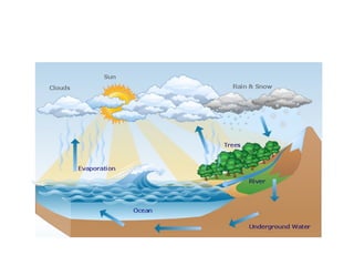 Hydrologic Cycle
 