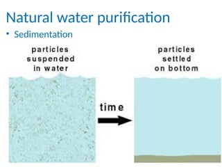 Natural water purification
• Sedimentation
 