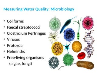 Measuring Water Quality: Microbiology
• Coliforms
• Faecal streptococci
• Clostridium Perfringes
• Viruses
• Protozoa
• Helminths
• Free-living organisms
(algae, fungi)
 