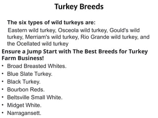 Turkey Breeds
The six types of wild turkeys are:
Eastern wild turkey, Osceola wild turkey, Gould's wild
turkey, Merriam's wild turkey, Rio Grande wild turkey, and
the Ocellated wild turkey
Ensure a Jump Start with The Best Breeds for Turkey
Farm Business!
• Broad Breasted Whites.
• Blue Slate Turkey.
• Black Turkey.
• Bourbon Reds.
• Beltsville Small White.
• Midget White.
• Narragansett.
 