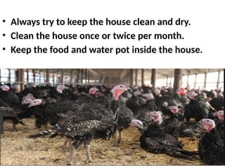• Always try to keep the house clean and dry.
• Clean the house once or twice per month.
• Keep the food and water pot inside the house.
 