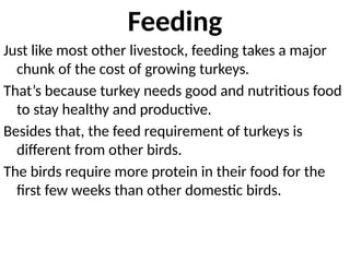 Feeding
Just like most other livestock, feeding takes a major
chunk of the cost of growing turkeys.
That’s because turkey needs good and nutritious food
to stay healthy and productive.
Besides that, the feed requirement of turkeys is
different from other birds.
The birds require more protein in their food for the
first few weeks than other domestic birds.
 