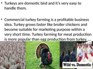 • Turkeys are domestic bird and it’s very easy to
handle them.
• Commercial turkey farming is a profitable business
idea. Turkey grows faster like broiler chickens and
become suitable for marketing purpose within a
very short time. Turkey farming for meat production
is more popular than egg production from turkey. ...
 