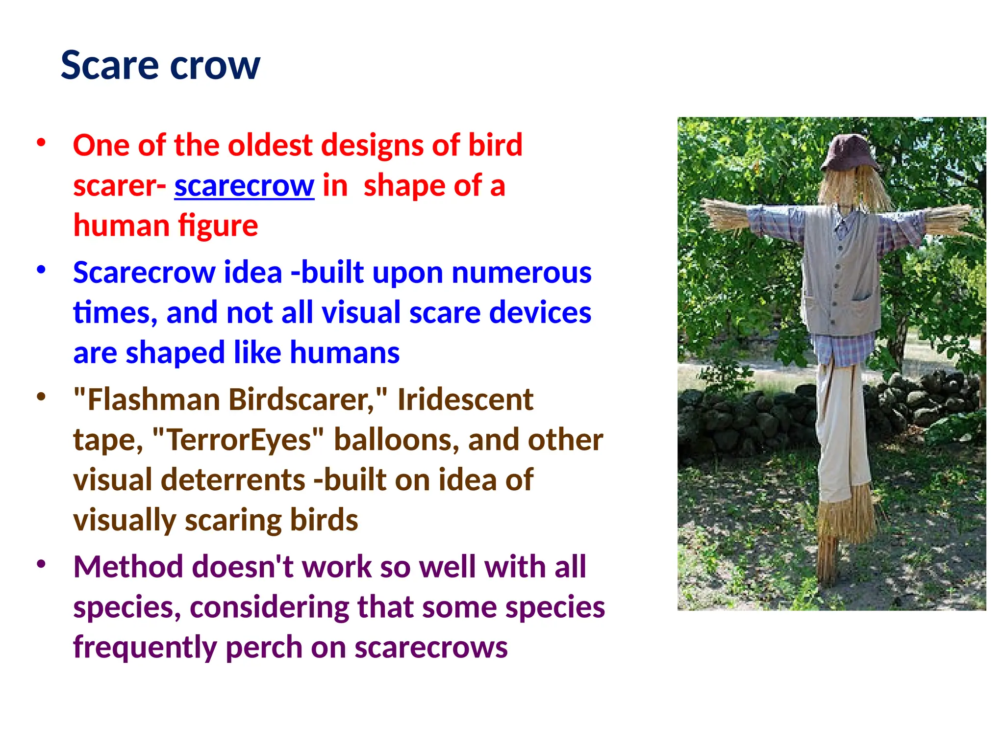 Scare crow
• One of the oldest designs of bird
scarer- scarecrow in shape of a
human figure
• Scarecrow idea -built upon numerous
times, and not all visual scare devices
are shaped like humans
• "Flashman Birdscarer," Iridescent
tape, "TerrorEyes" balloons, and other
visual deterrents -built on idea of
visually scaring birds
• Method doesn't work so well with all
species, considering that some species
frequently perch on scarecrows
 