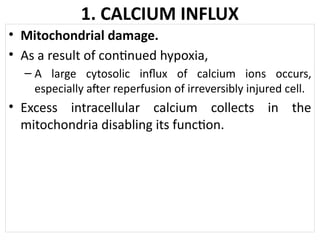 Lec.01B. Cell Injury and Death.pptx Cell Injury and Death | PPTX