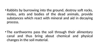 Lec.7. Weathering of rocks and minerals- Physical, Chemical.pptx