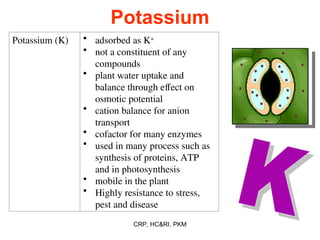 Mechanisms of Nutrient Uptake and Their Physiological Roles in Plants | PPT