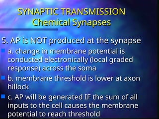 Comprehensive Overview of Synaptic Transmission in Physiology | PPT
