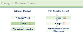Biological Weed Control: Eco-Friendly Strategies for Sustainable ...