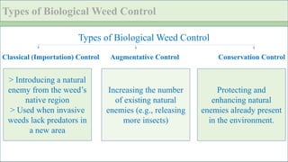 Biological Weed Control: Eco-Friendly Strategies for Sustainable ...