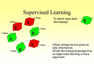 Supervised Learning
A
B
A
B
A
B
 Class
 Class
 Class
 Class
 Class
 Class
B
To which class does
this belong?
Class categories are given as
side information.
From the biological perspective
un-supervised learning is more
important.
 