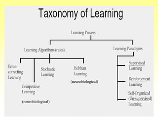 (neurobiological)
(neurobiological)
 
