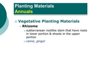 Planting Materials
Annuals
 Vegetative Planting Materials
⚫ Rhizome
 subterranean rootlike stem that have roots
in lower portion & shoots in the upper
portion
 ramie, ginger
 