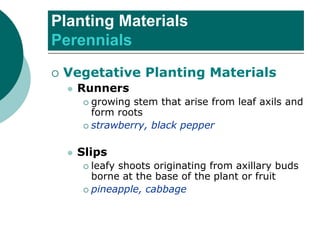 Planting Materials
Perennials
 Vegetative Planting Materials
⚫ Runners
 growing stem that arise from leaf axils and
form roots
 strawberry, black pepper
⚫ Slips
 leafy shoots originating from axillary buds
borne at the base of the plant or fruit
 pineapple, cabbage
 