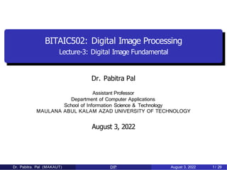 BITAIC502: Digital Image Processing
Lecture-3: Digital Image Fundamental
Dr. Pabitra Pal
Assistant Professor
Department of Computer Applications
School of Information Science & Technology
MAULANA ABUL KALAM AZAD UNIVERSITY OF TECHNOLOGY
August 3, 2022
Dr. Pabitra. Pal (MAKAUT) DIP August 3, 2022 1/ 29
 