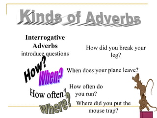 Interrogative
Adverbs
introduce questions
How did you break your
leg?
When does your plane leave?
How often do
you run?
Where did you put the
mouse trap?
 