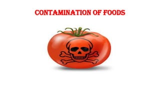 Contamination of Foods
 
