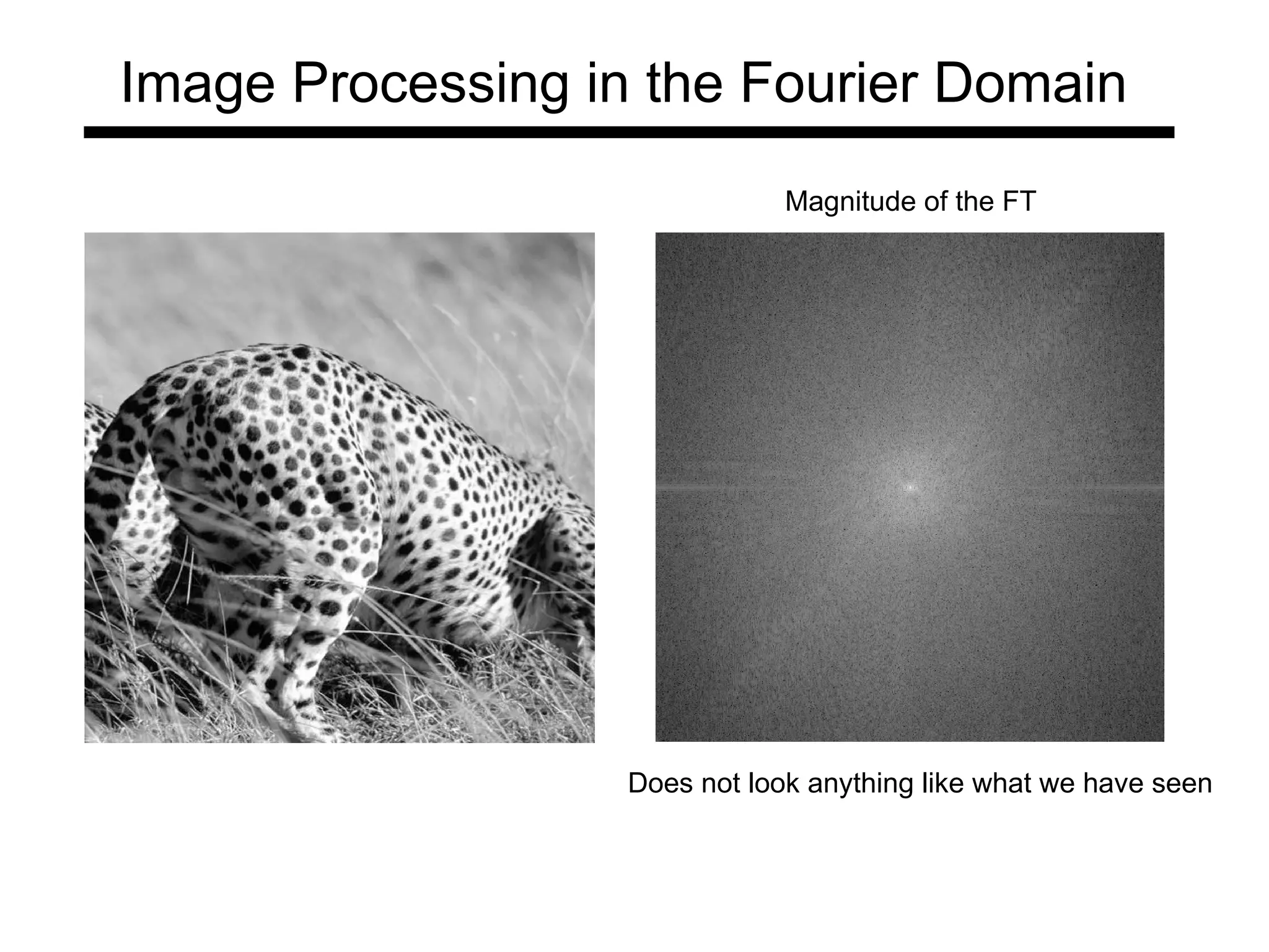 Does not look anything like what we have seen
Magnitude of the FT
Image Processing in the Fourier Domain
 