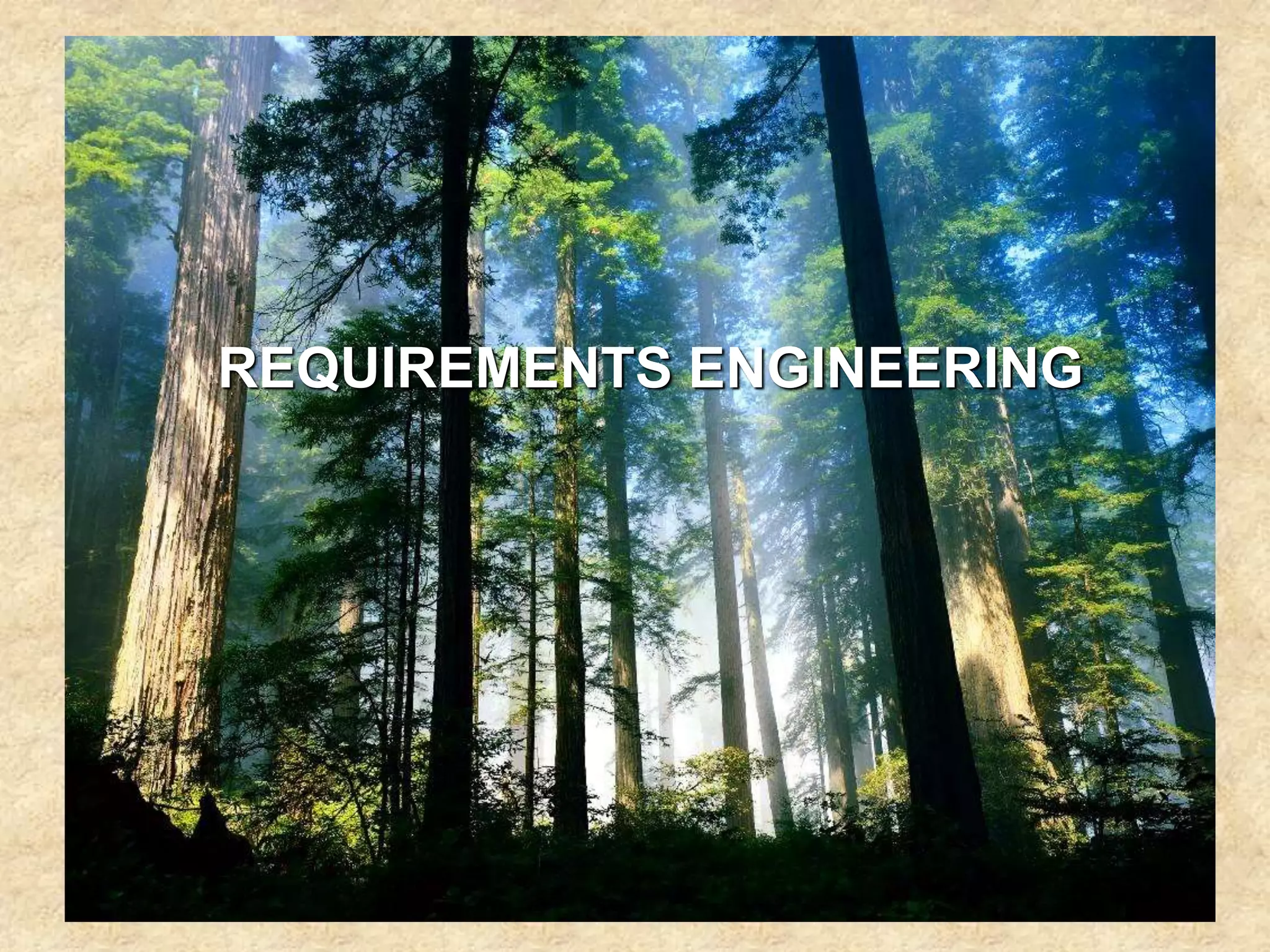 REQUIREMENTS ENGINEERING
 
