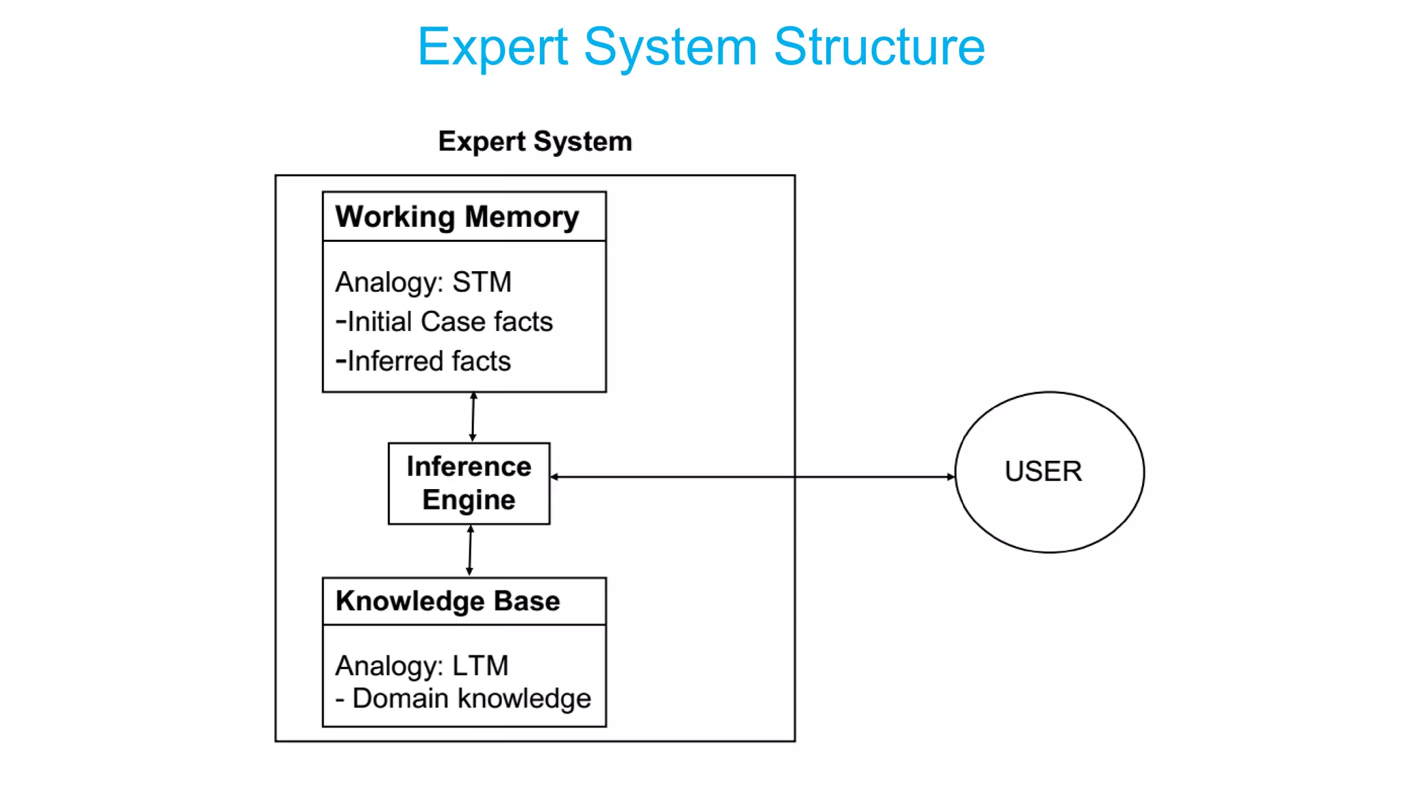 Expert System Structure
 